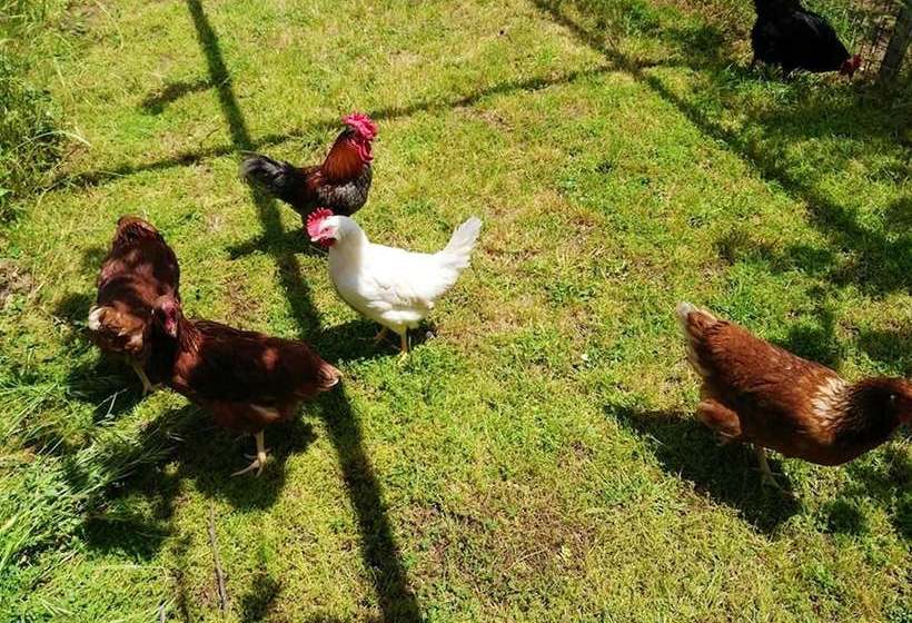 Mansion With 4 Bedrooms In Congosto, With Enclosed Garden And Wifi