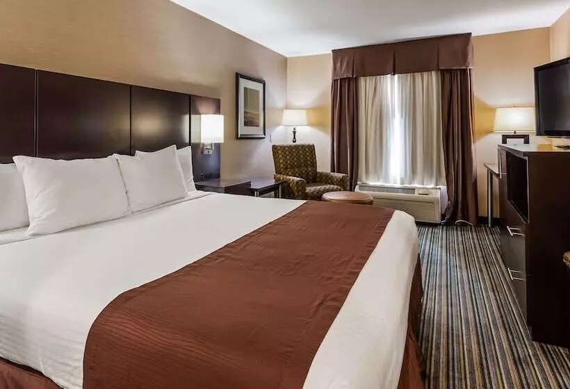 酒店 Best Western Brentwood Inn