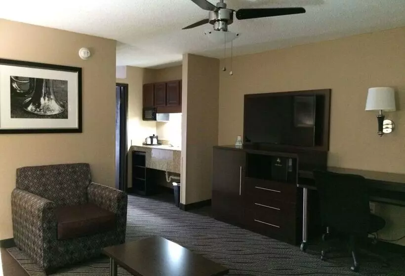 酒店 Best Western Plus Galleria Inn & Suites