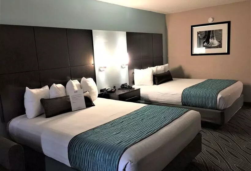 酒店 Best Western Plus Galleria Inn & Suites