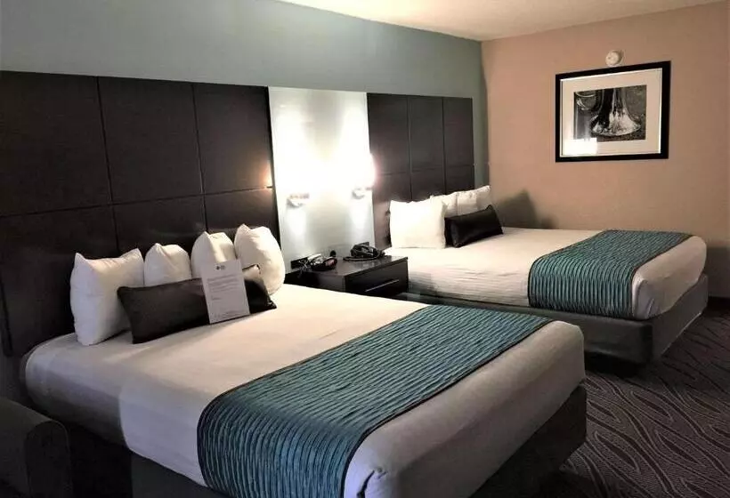 酒店 Best Western Plus Galleria Inn & Suites