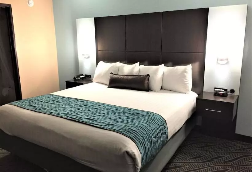 酒店 Best Western Plus Galleria Inn & Suites