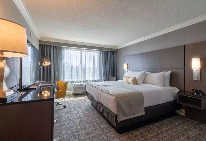 Отель Best Western Premier Airport/expo Center