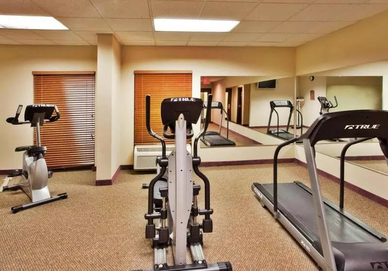 فندق Holiday Inn Express Atlanta W Douglasville, An Ihg