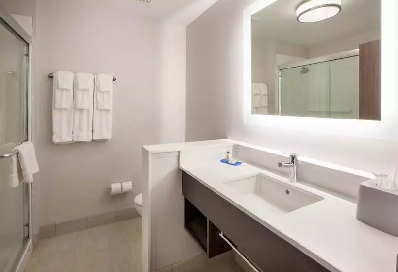 فندق Holiday Inn Express Atlanta W Douglasville, An Ihg