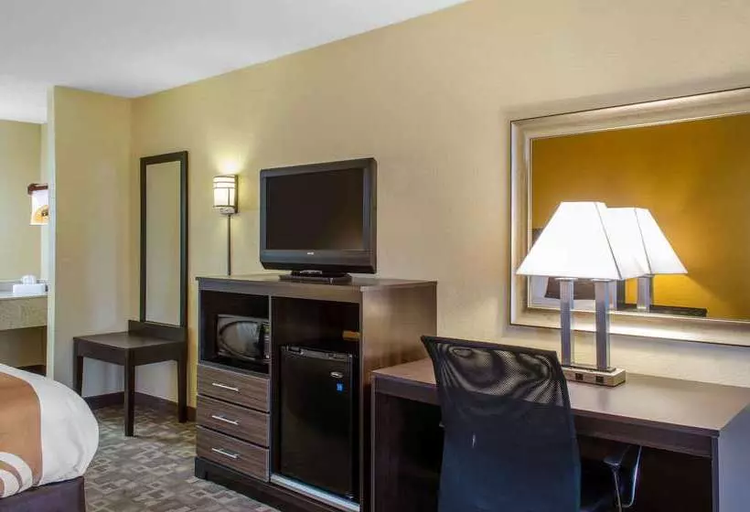 ホテル Quality Inn University Area