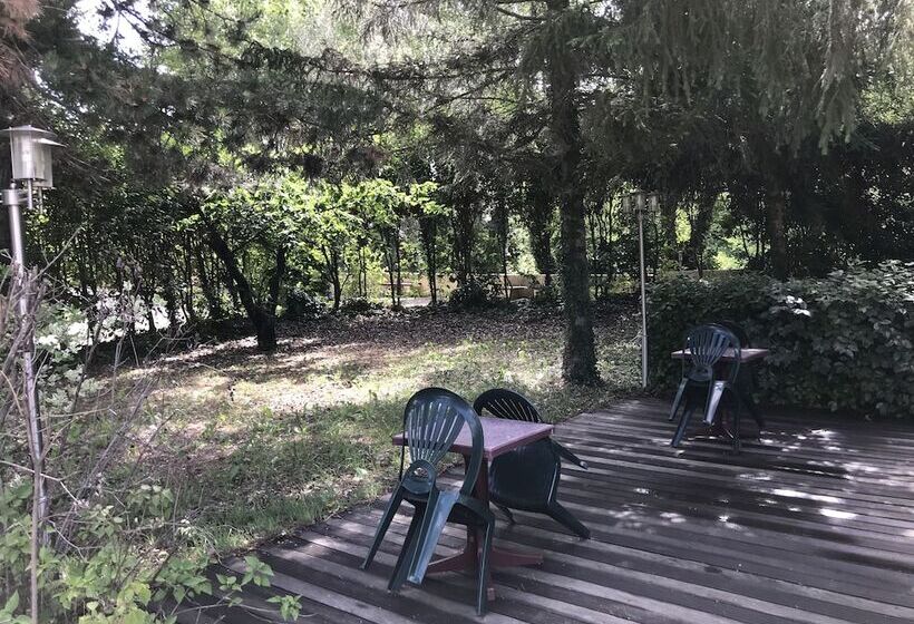 בית מלון כפרי Hôtel Sous L Olivier