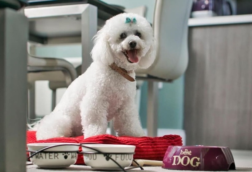 The Reserve At Muckross Park