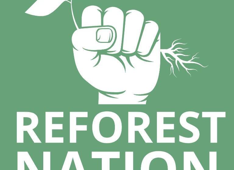 בית מלון כפרי The Lodge At Woodenbridge