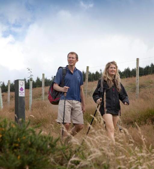 בית מלון כפרי The Lodge At Woodenbridge