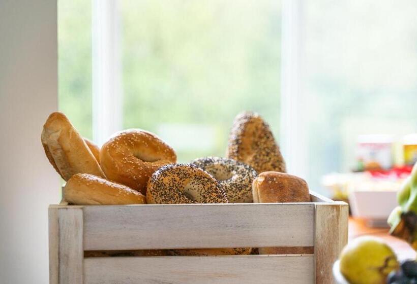 בית מלון כפרי The Lodge At Woodenbridge