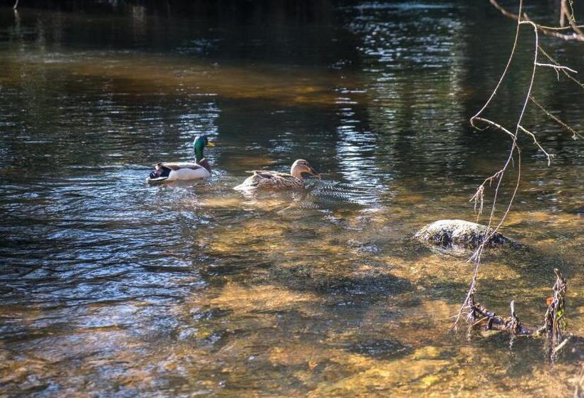 בית מלון כפרי The Lodge At Woodenbridge