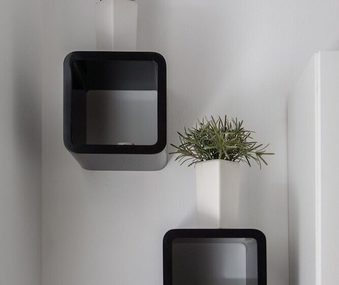 Apartments Noa Old Town