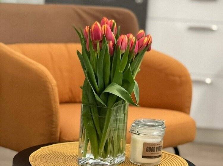 Apartments Noa Old Town