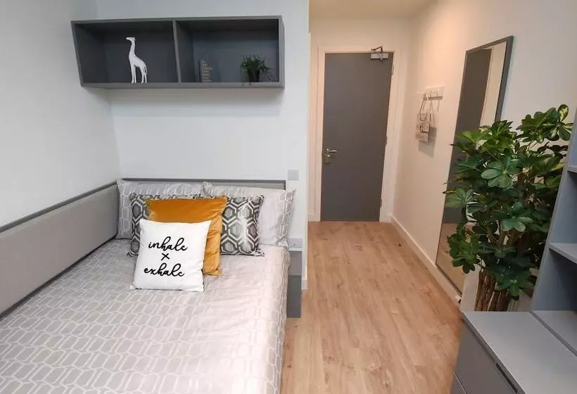 Yugo Explore   Lee Point