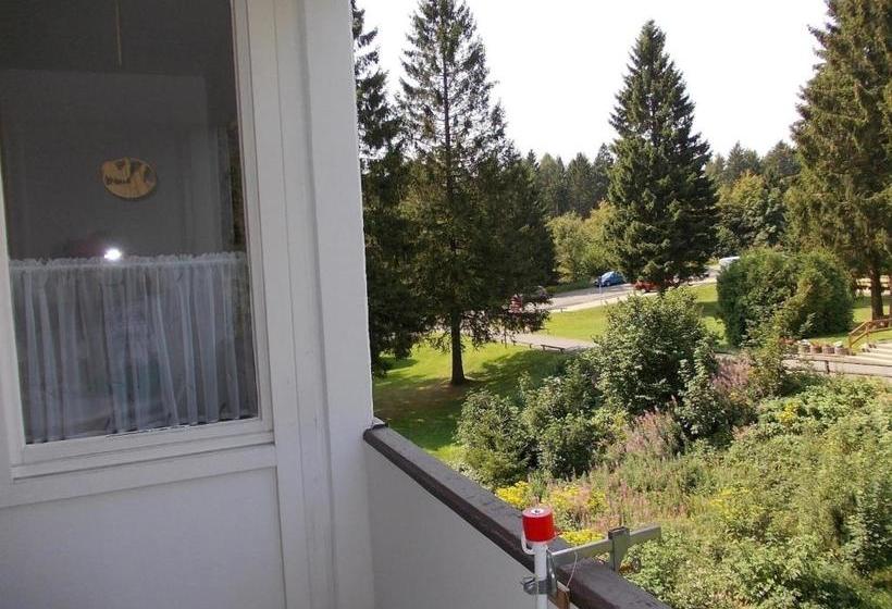 Fewo Hemlock Hahnenklee   Mit Balkon, Wäschepaket & Energie Inkl