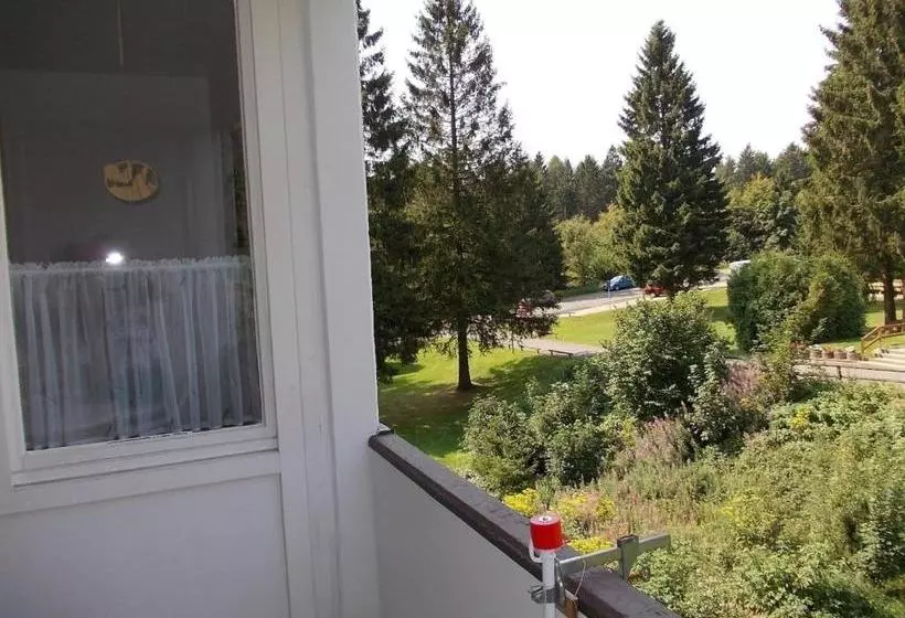 Fewo Hemlock Hahnenklee   Mit Balkon, Wäschepaket & Energie Inkl