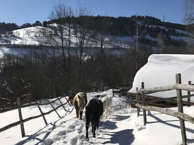 La Grange D Hannah   Gîte & Chambre D’hôtes De Charme