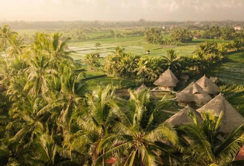 Retkeilymaja Mana Earthly Paradise