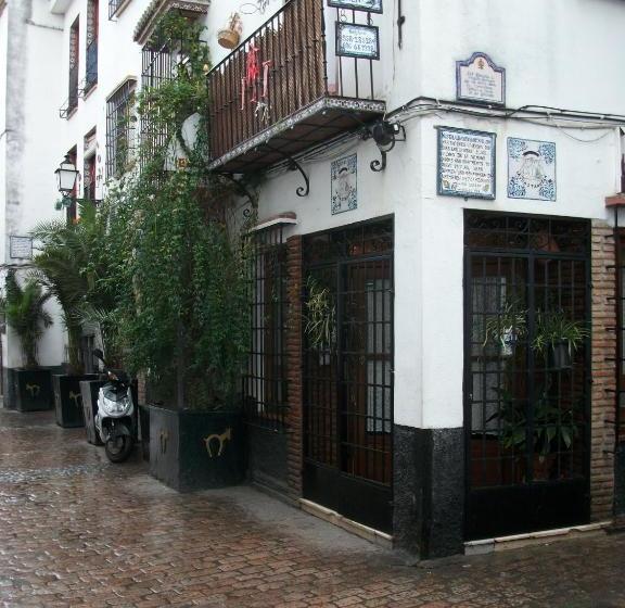 مسافرخانه La Castanuela Albayzin