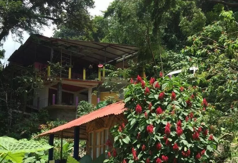 Hotelli Cabañas Y Casas Del árbol La Huerta