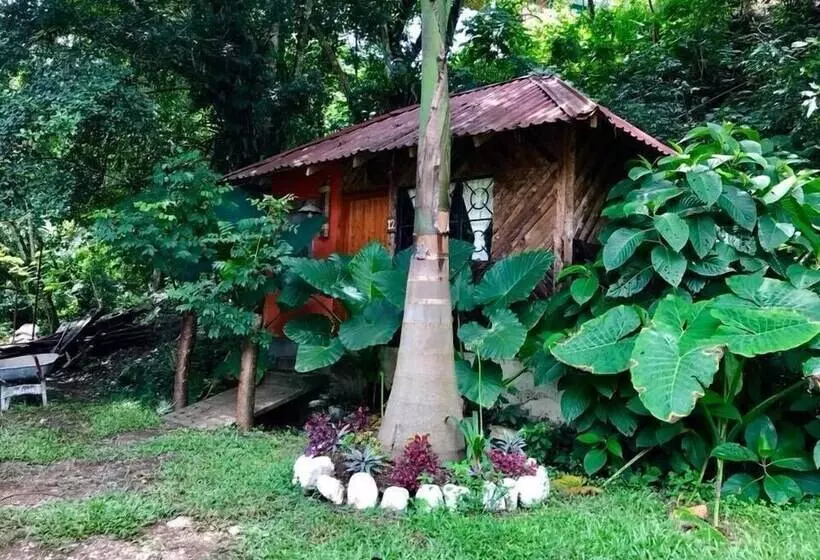 Hotelli Cabañas Y Casas Del árbol La Huerta