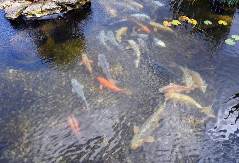 호텔 Casa Das Carpas