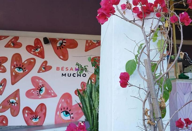 旅馆 Hostal Casa Violeta