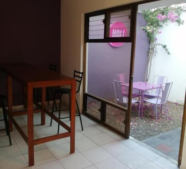 旅馆 Hostal Casa Violeta