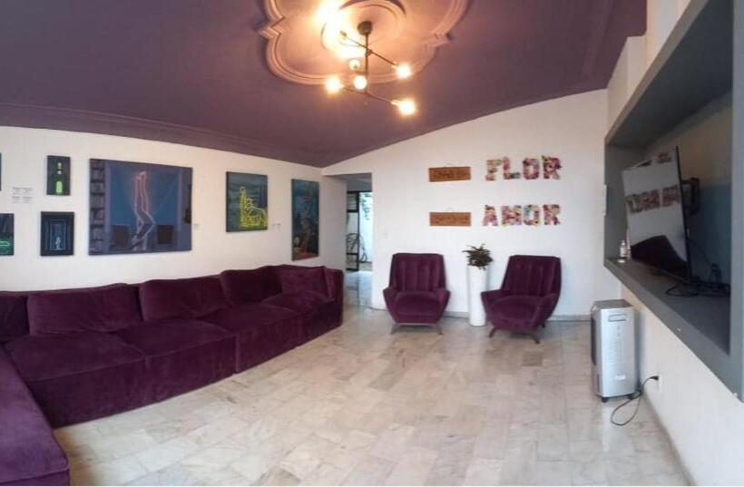 旅馆 Hostal Casa Violeta