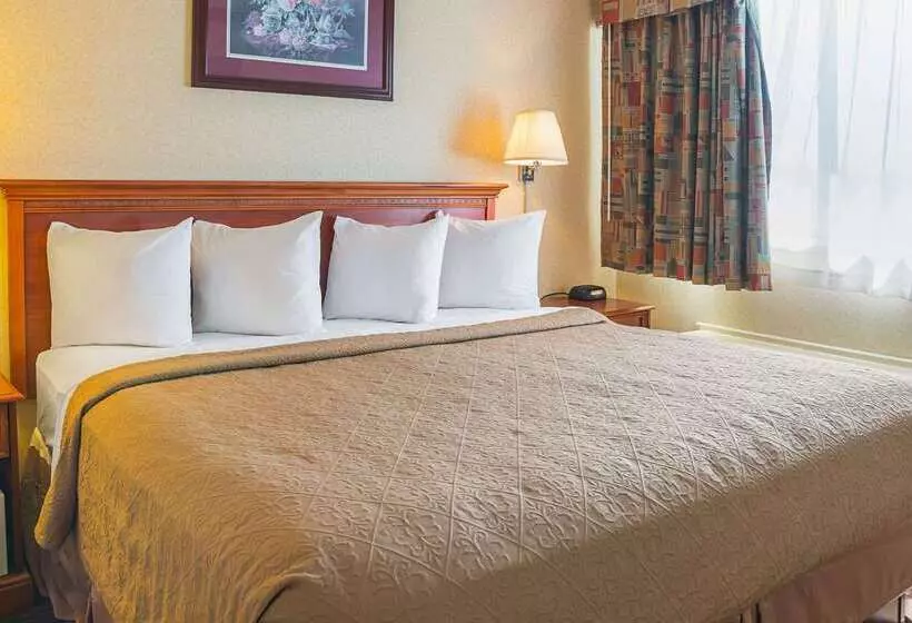 ホテル Quality Inn & Suites Detroit Metro Airport