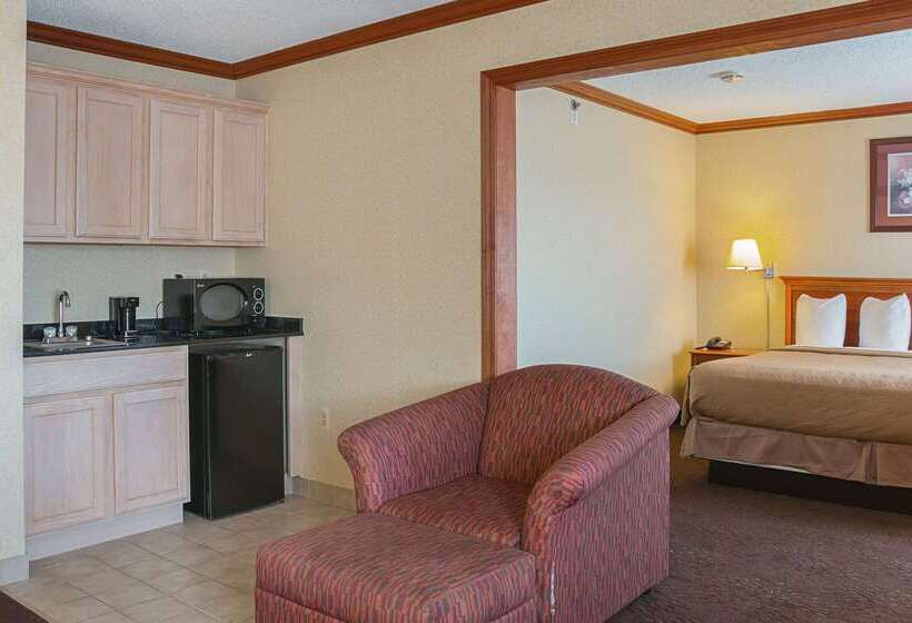 Hotel Quality Inn & Suites Detroit Metro Airport
