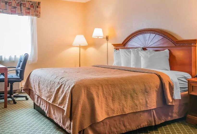 ホテル Quality Inn & Suites Detroit Metro Airport