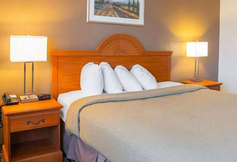 ホテル Quality Inn & Suites Detroit Metro Airport