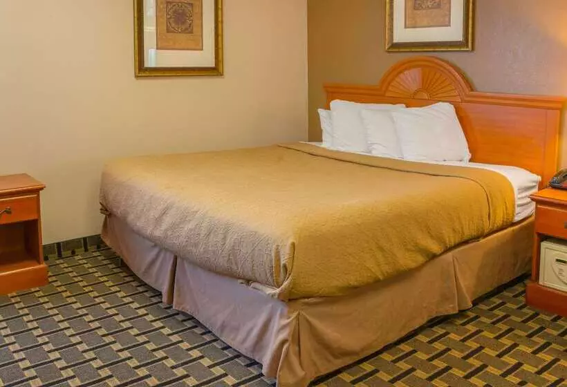 ホテル Quality Inn & Suites Detroit Metro Airport