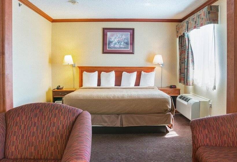 Hotel Quality Inn & Suites Detroit Metro Airport