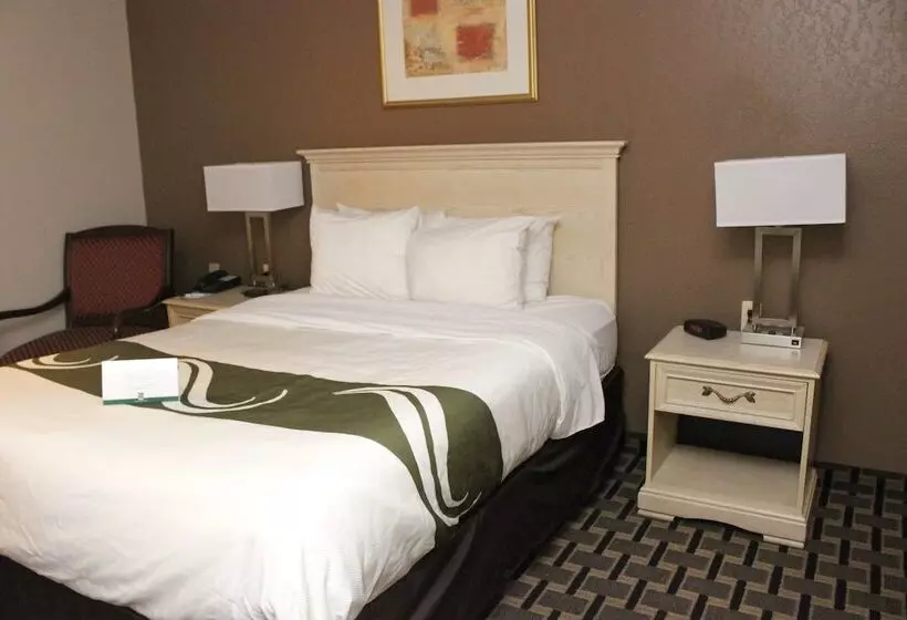 ホテル Quality Inn & Suites Detroit Metro Airport