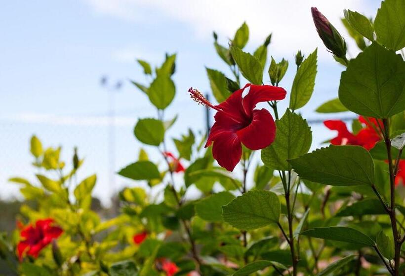 Apartamentos Cala Murada Tennis