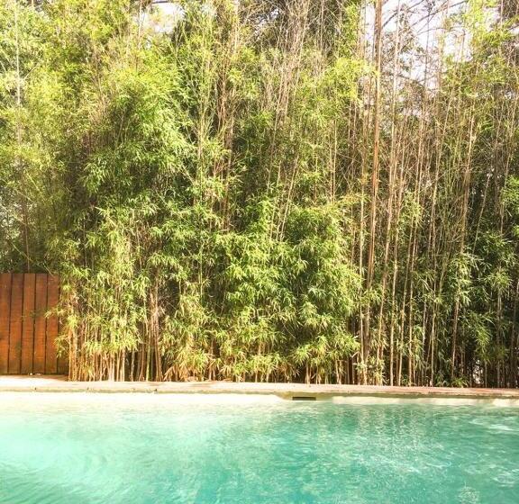 ベッドアンドブレックファースト Casa Mansa