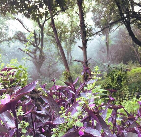 ベッドアンドブレックファースト Casa Mansa