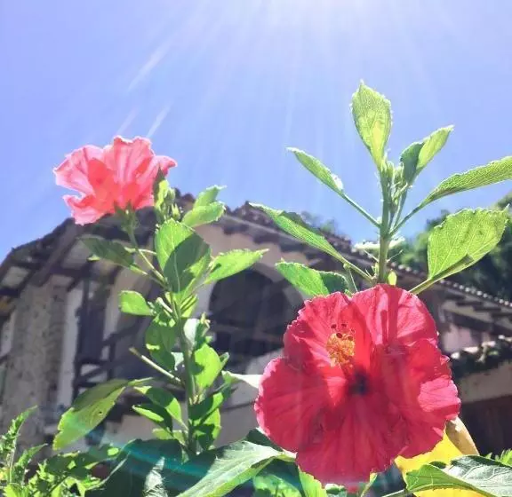 Aamiaismajoitus (B&B) Casa Mansa