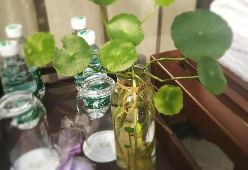 ホテル Xinhualian Lvxingu