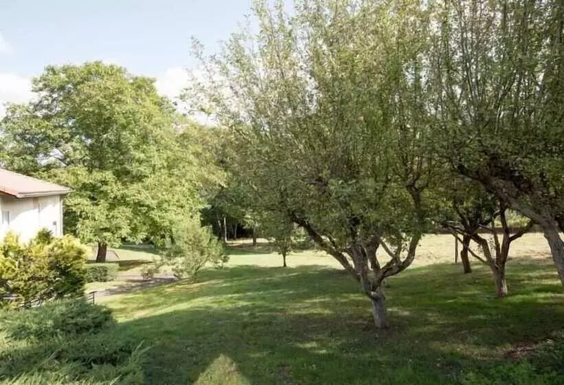 ホテル Restaurant L Artiere