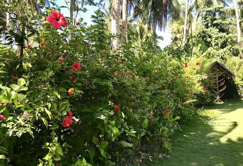 Ilakai Hostel
