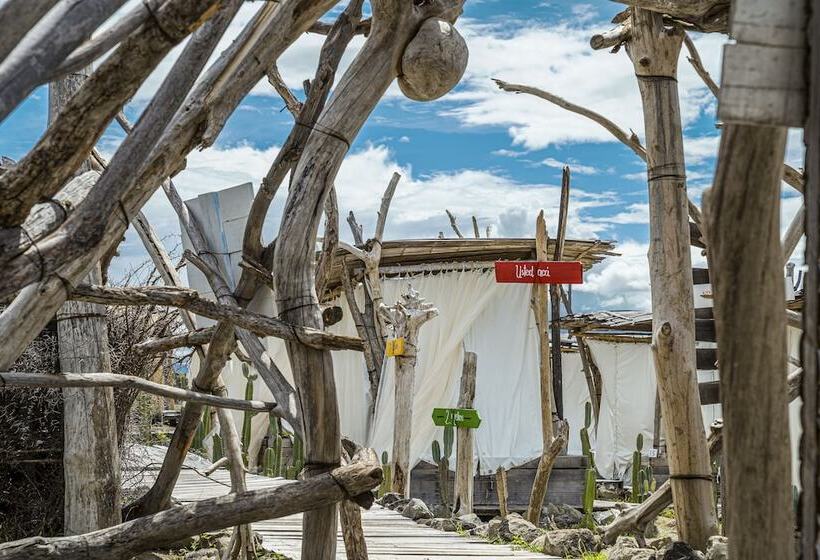 בית מלון כפרי Bethel Bioluxury