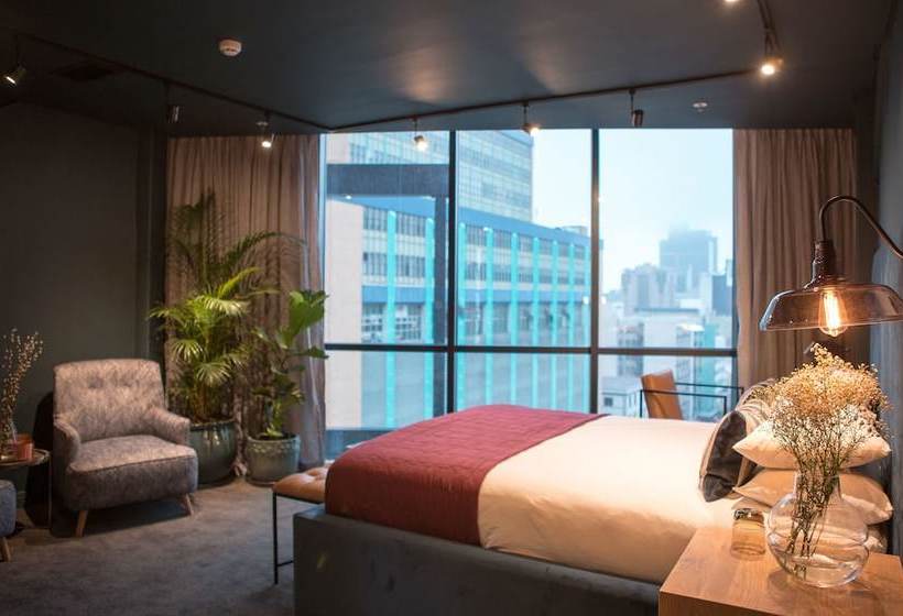 Hotel Cartel House On Loop