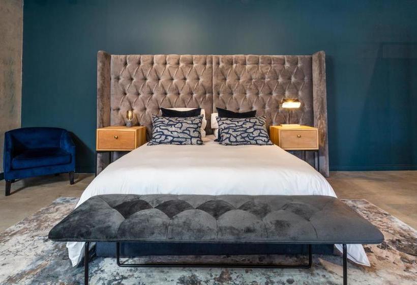 Hotel Cartel House On Loop