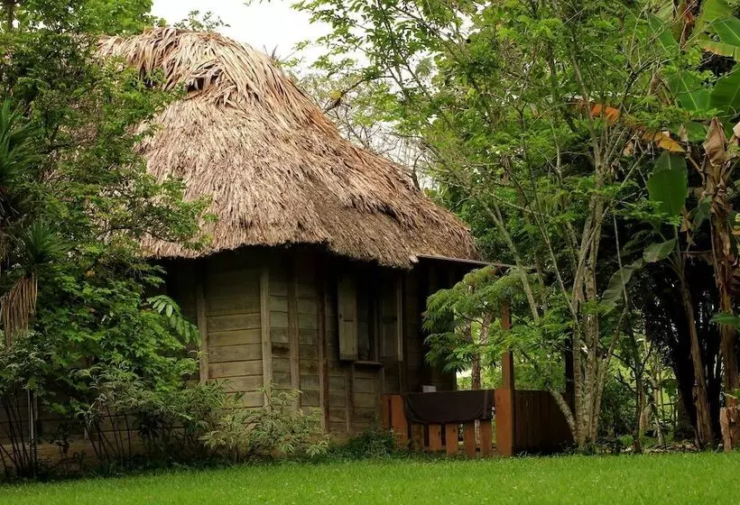 هتل Clarissa Falls Resort