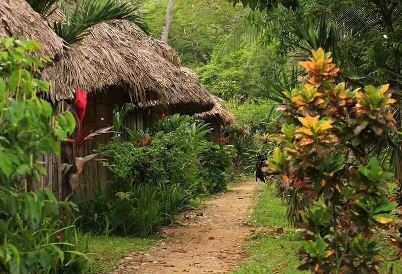 هتل Clarissa Falls Resort