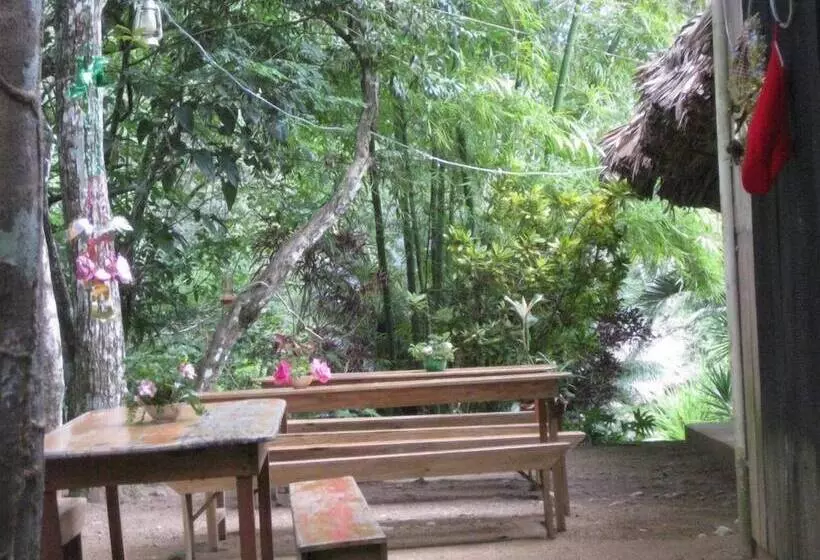 هتل Clarissa Falls Resort